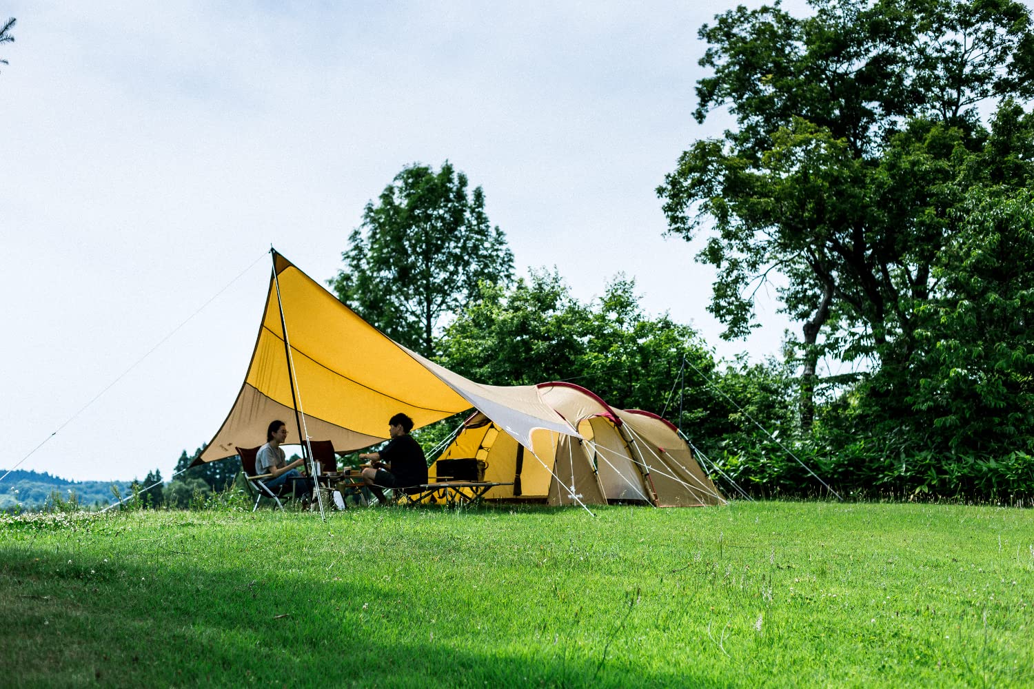 Amazon.co.jp: アメニティタープヘキサLセット TP-851SR : スポーツ