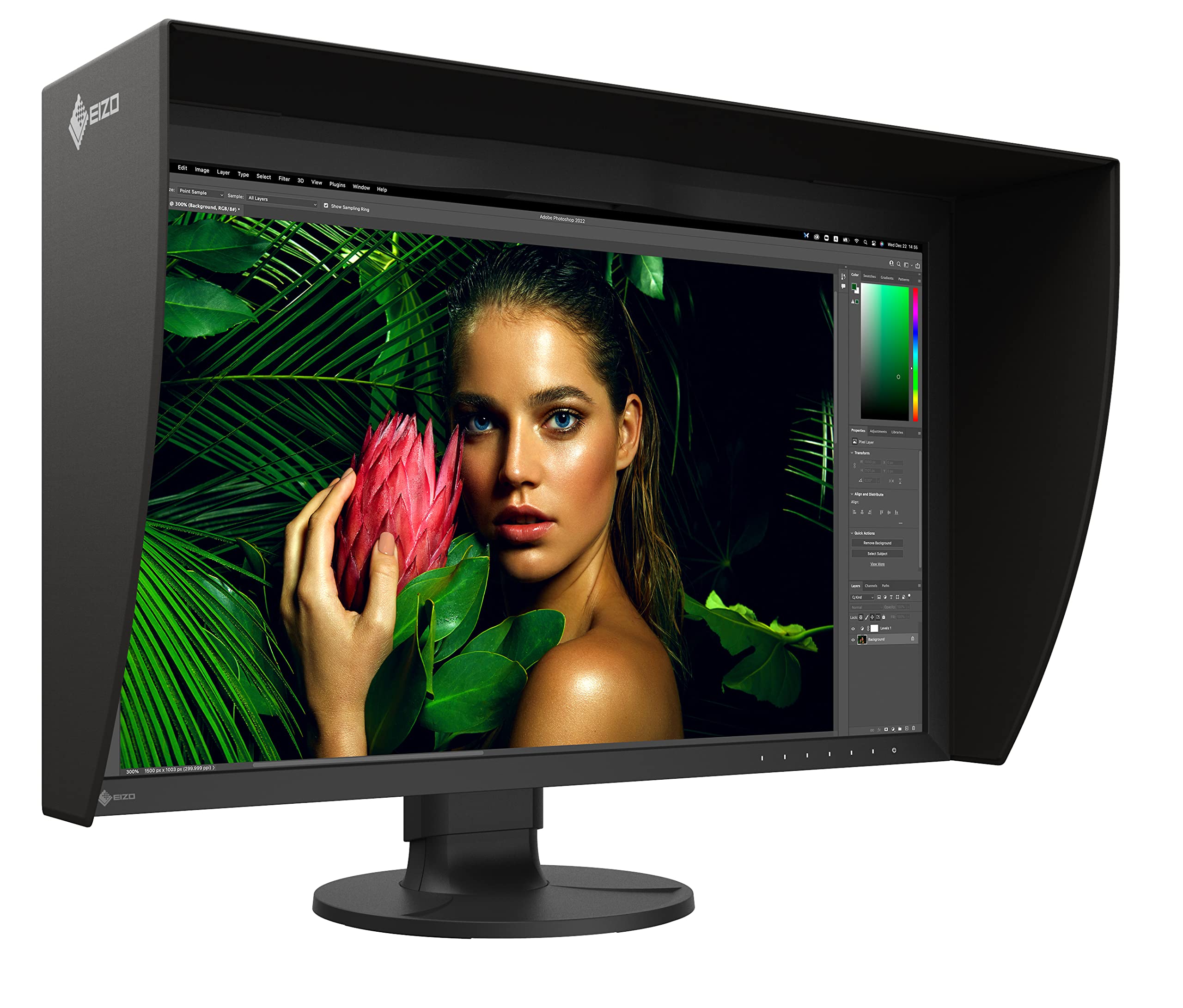 Amazon.com: EIZO ColorEdge CG2700S-BK 27
