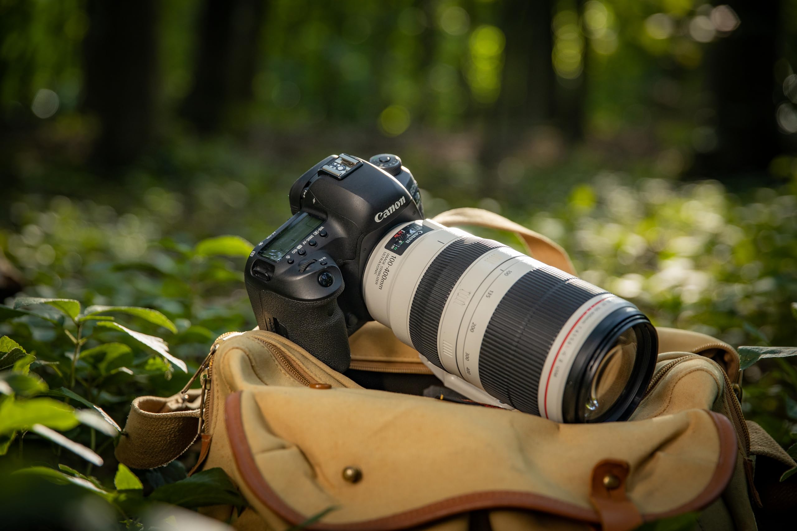 Amazon.co.jp: Canon EF 100-400mm f/4.5-5.6L IS II USM : Electronics