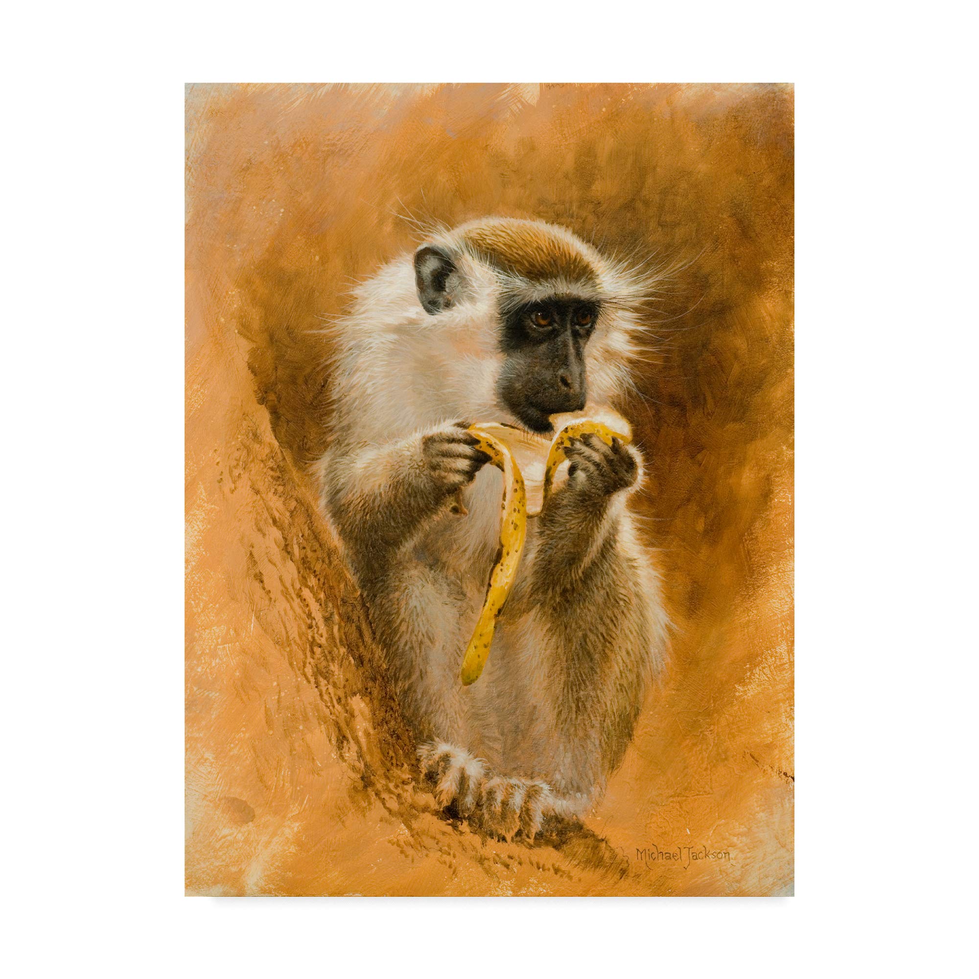 Amazon.com: Trademark Fine Art Green Monkey by Michael Jackson