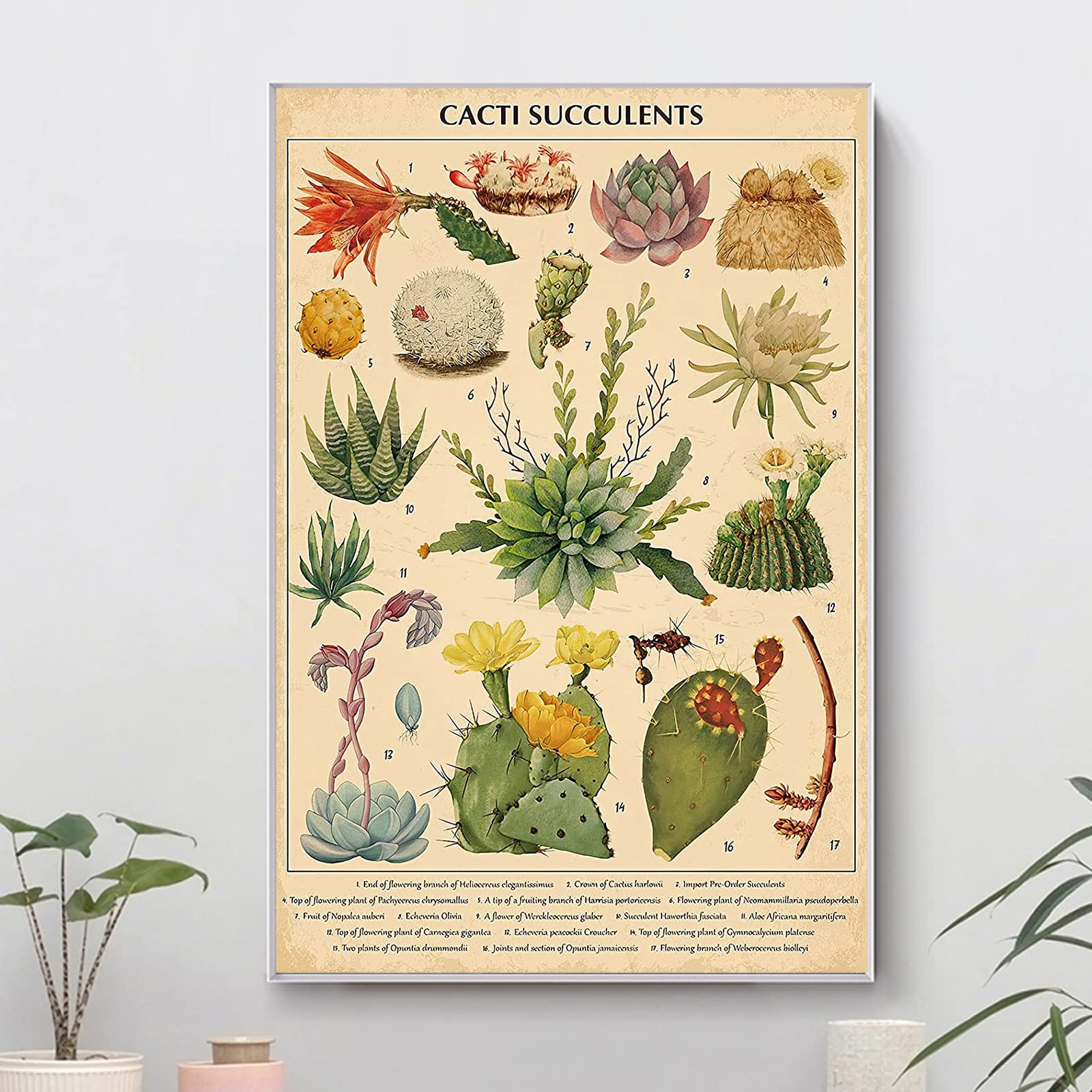 Amazon.co.jp: ZZPT ヴィンテージ サボテン 多肉植物 ポスター