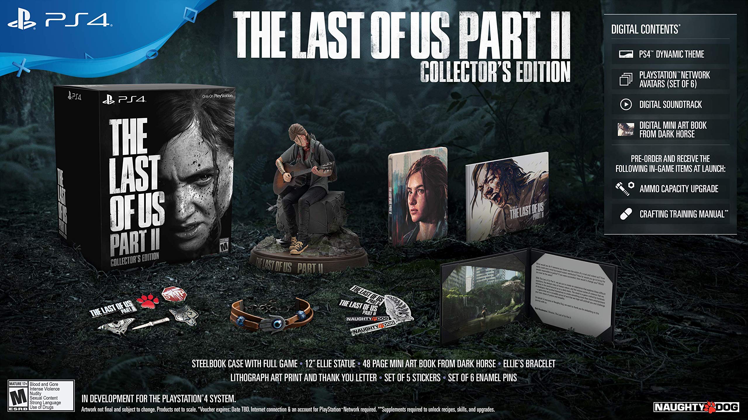 Amazon.com: The Last of Us Part II Collector's Edition