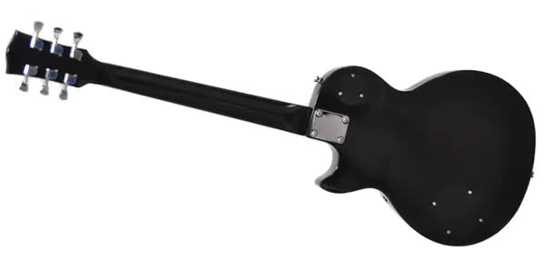 Amazon | PLAYTECH (プレイテック) エレキギター レスポールタイプ 2