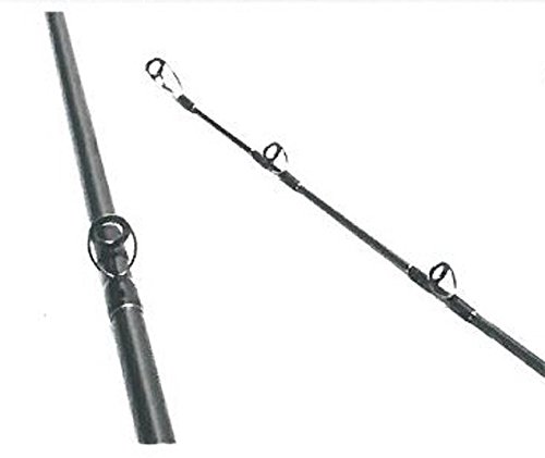 Amazon | Fishman(フィッシュマン) BRIST MARINO 8.0M BM80M | FISHMAN