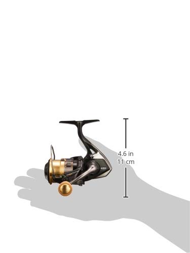 Cardiff CI4+ 1000S : Amazon.ca: Sports & Outdoors