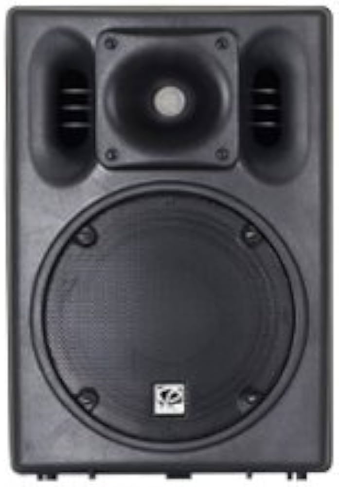 ClassicPro CSP8 パッシブスピーカー Classic PRO PAスピーカー CSP8