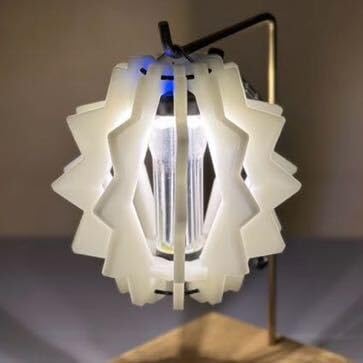 Amazon.co.jp: bonbonero ボンボネロ 蓄光 グリーン ゴールゼロ