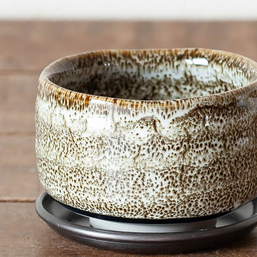 美濃焼の植木鉢｜松、桜が良く似合う抹茶碗ベースのミニ盆栽鉢