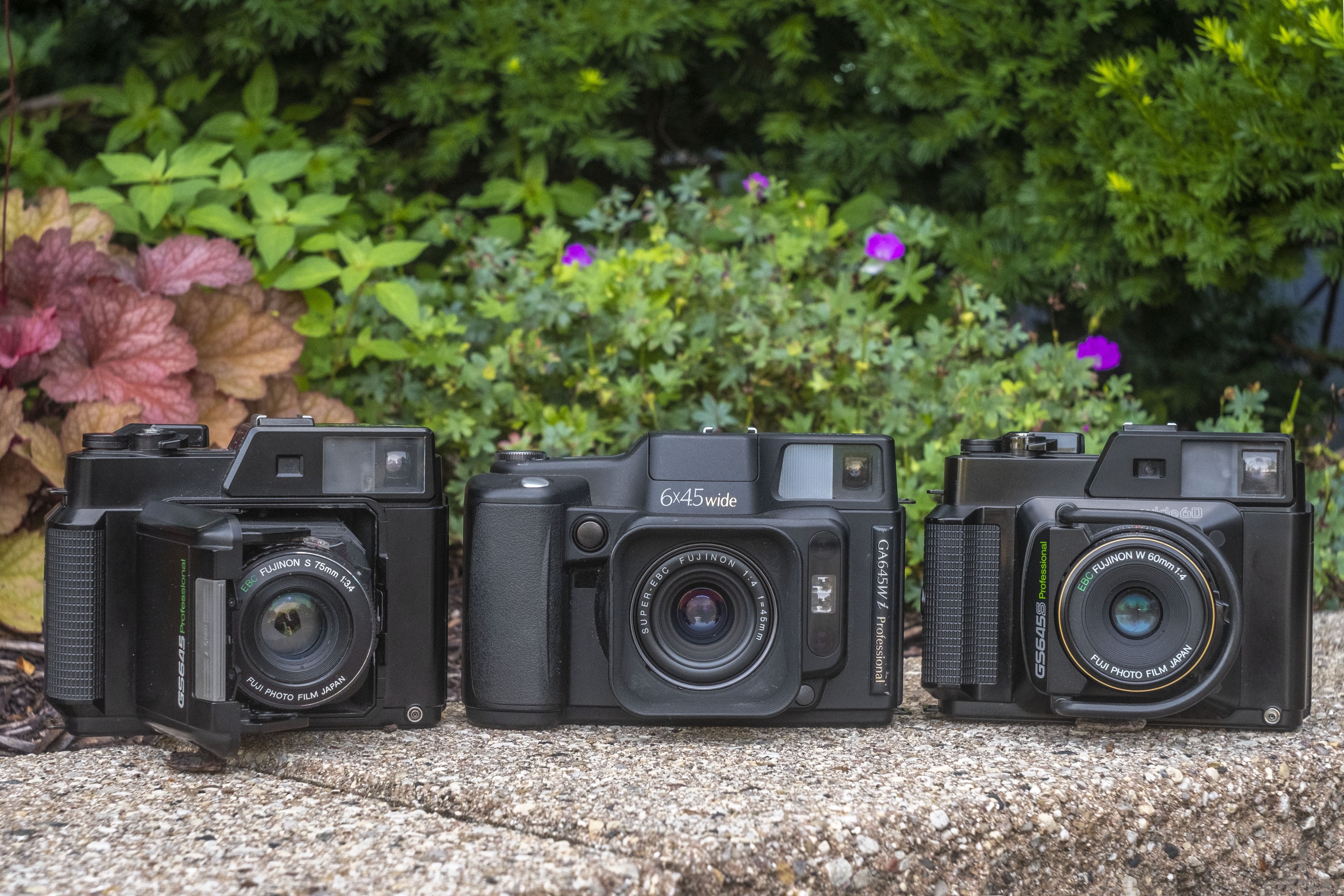 Fujifilm GA645Wi Professional (1997) – mike eckman dot com