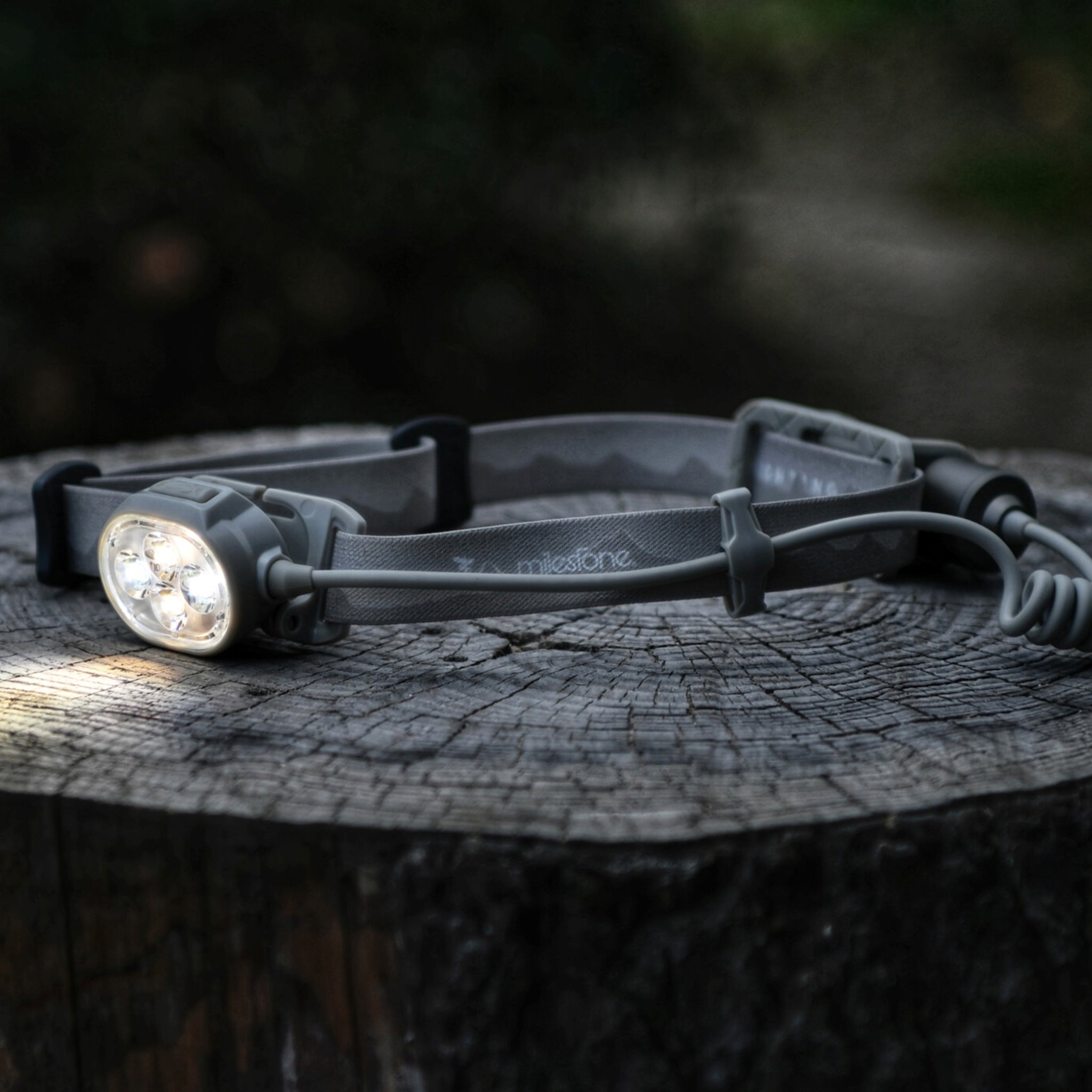 MS-i1 “Endurance Model” – milestone