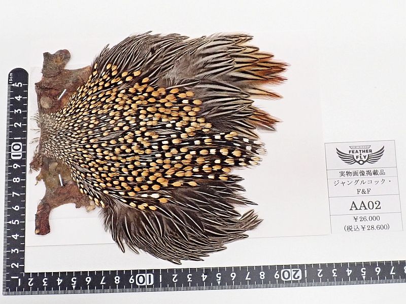 フライ マテリアル ハックル ジャングルコック 杜の家ブルック 通販