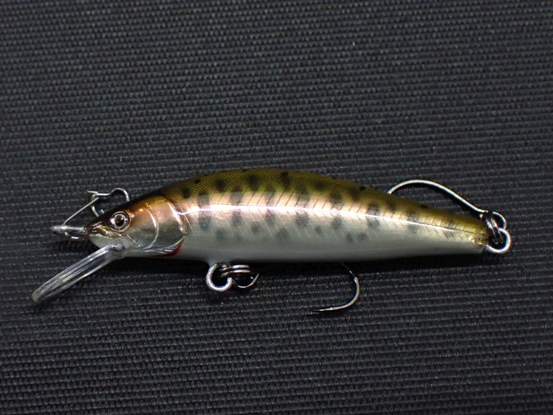 ハンドメイドルアー RAYTUNE レイチューン 杜の家ブルック 通販(3／3