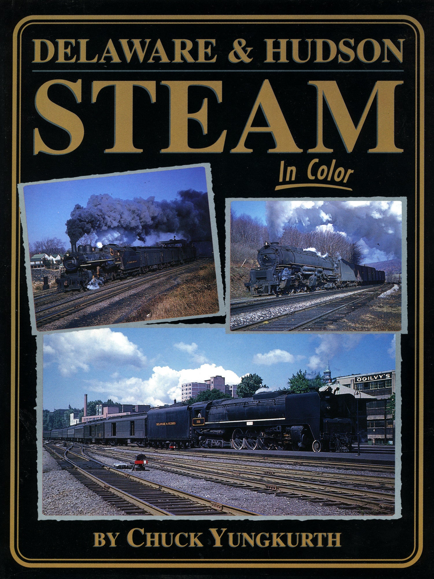 Delaware & Hudson Steam In Color (Digital Reprint) – Morning Sun Books