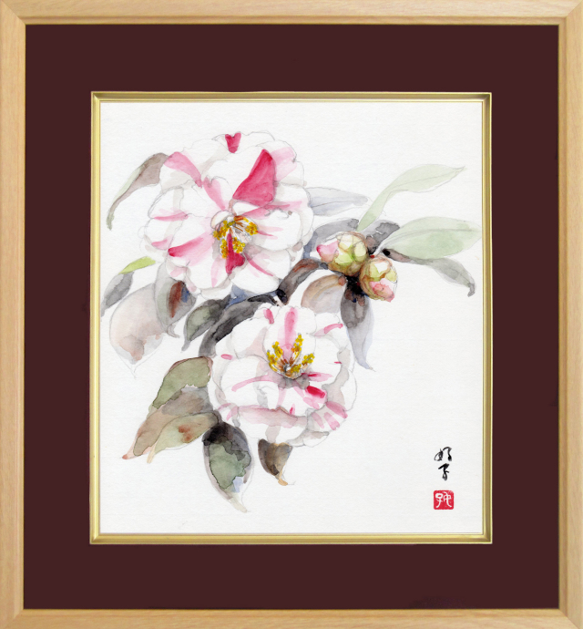 水彩画・志村好子「椿（白）」（絵寸270×240・額寸354×384mm）