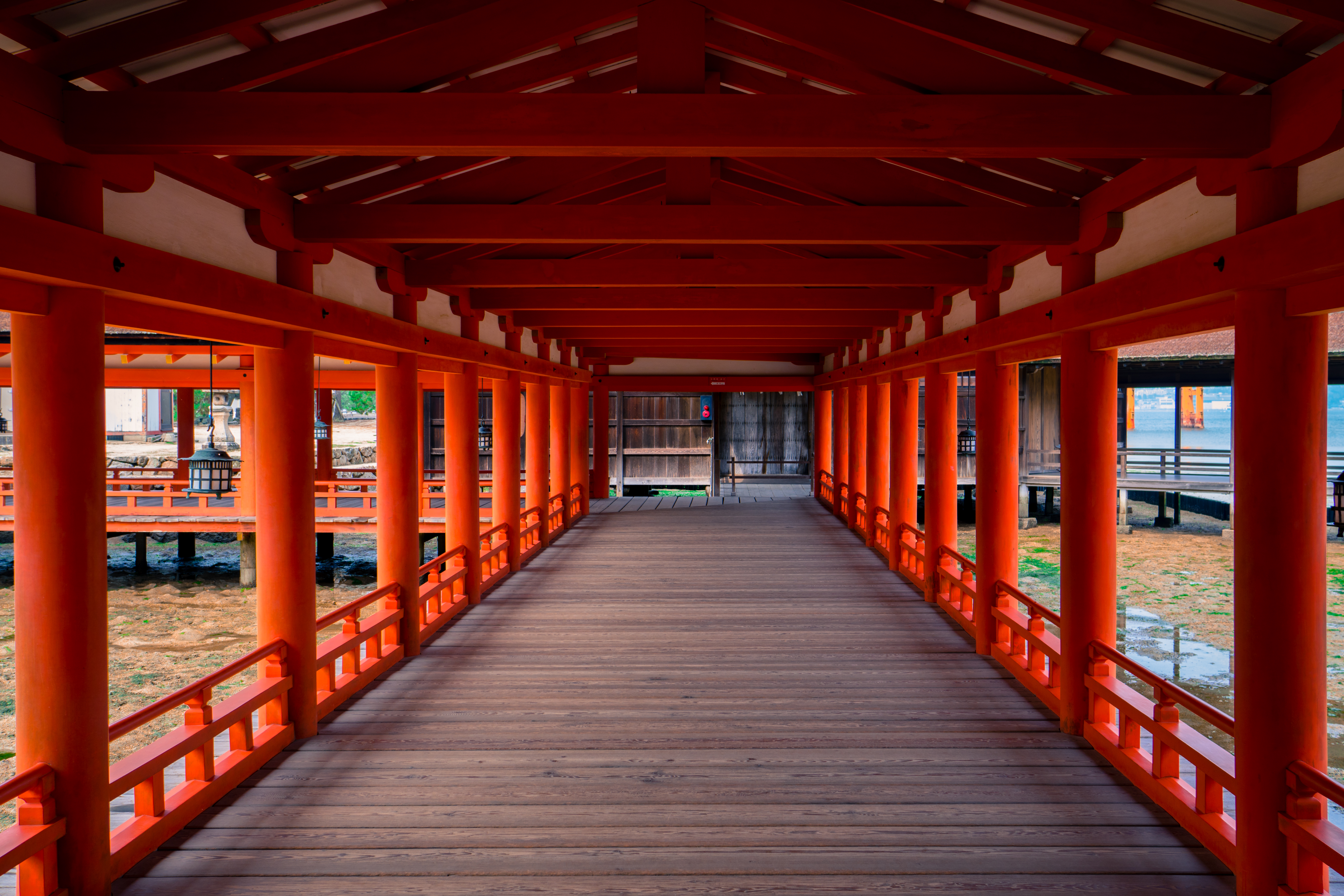 作例付きレビュー】SONY Sonnar T＊ E 24mm F1.8ZA SEL24F18Z | mupic.net