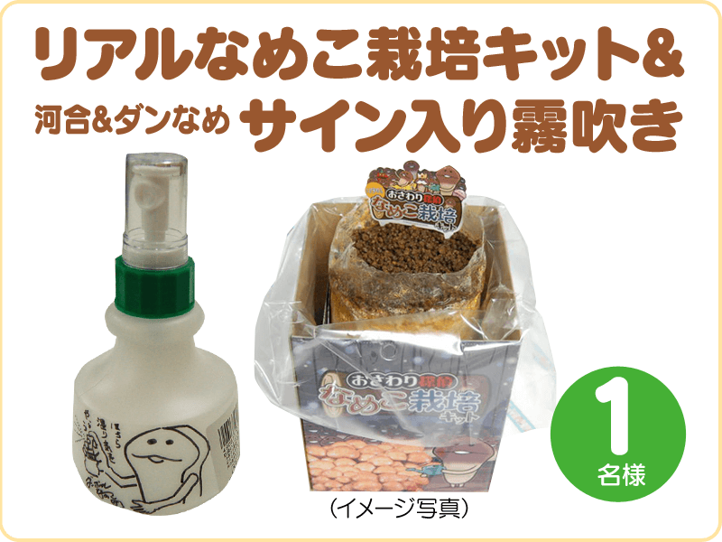 ニュース | なめこ栽培キット HD / なめこ栽培キットSeasons HD