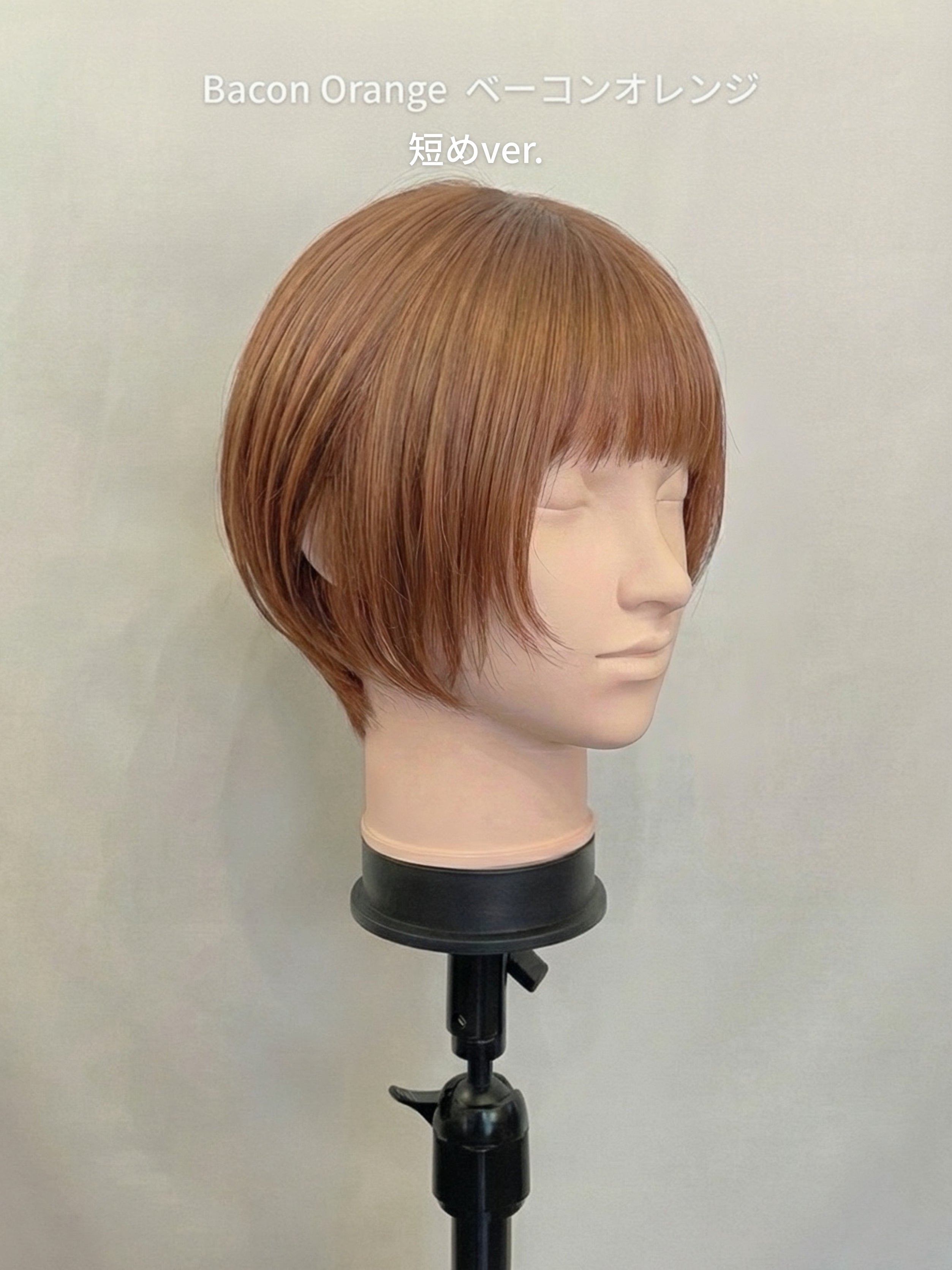 ポールマッシュレイヤー/ウィッグ/ショートレイヤー