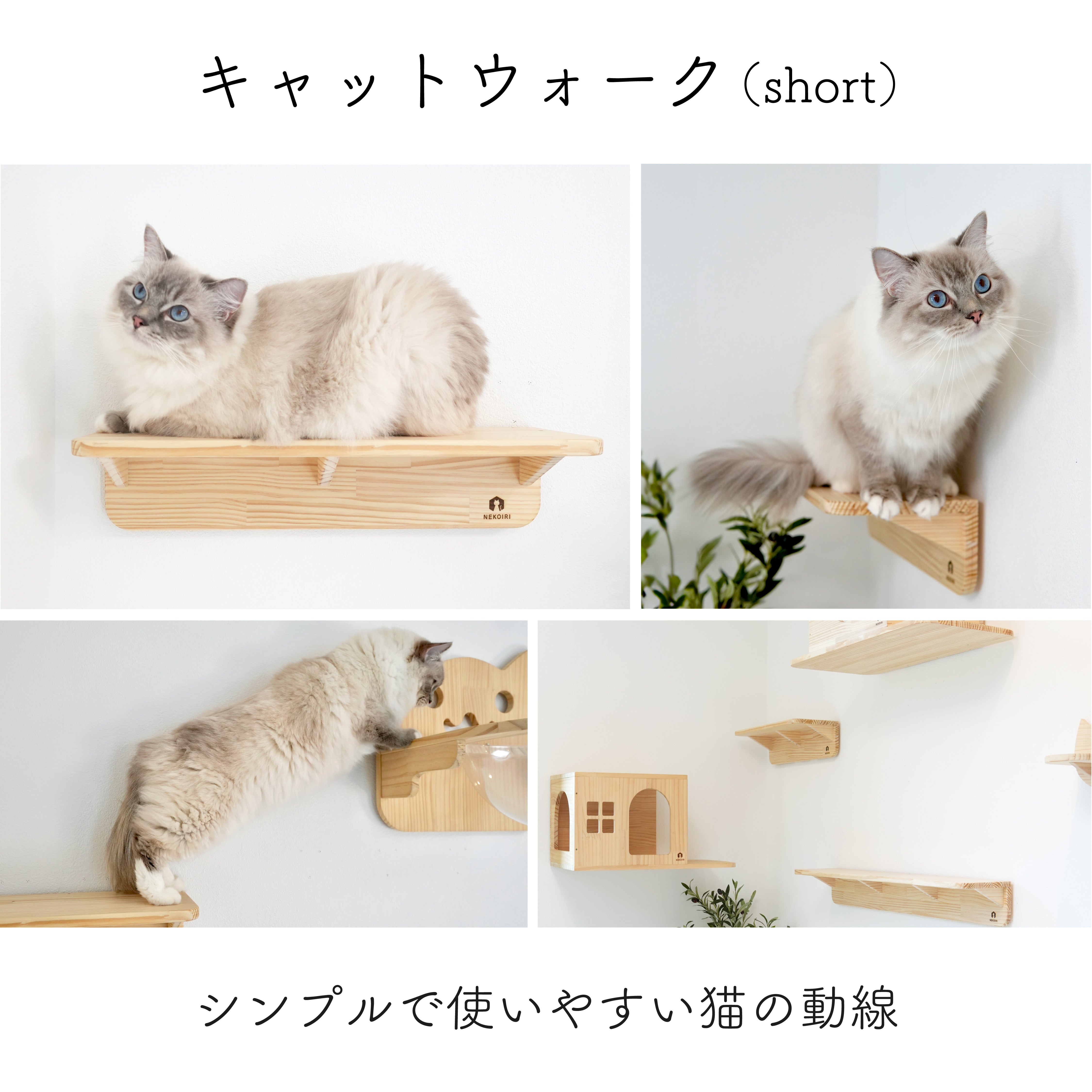 NEKOIRI Mache Short マーチェ ショート 【キャットウォーク Sサイズ】