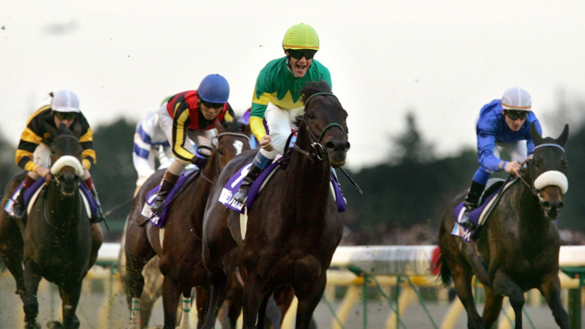 ゼンノロブロイ、22歳で亡くなる/ウマ娘のモチーフ馬の訃報が続く理由