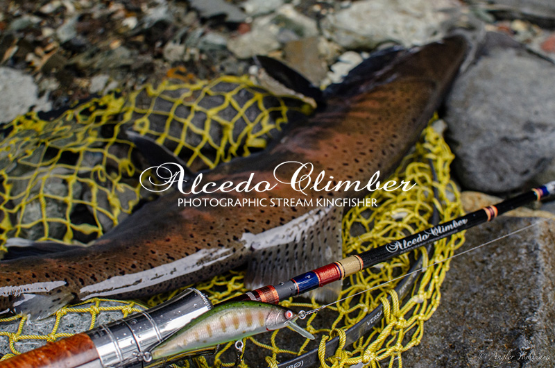 アルセドクライマー】ACB524MS｜ニュース（総合ブログ） ｜Casket