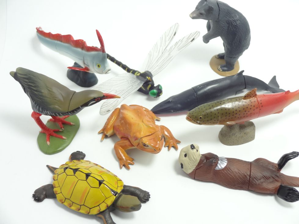 チョコエッグ日本の動物3