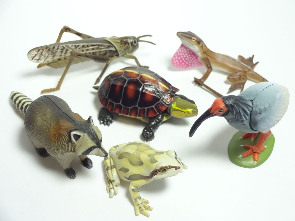 わがままな天然列島孤島の爪牙