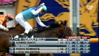 競馬】 2006 シンガポール航空国際C コスモバルク 【ちょっと盛り