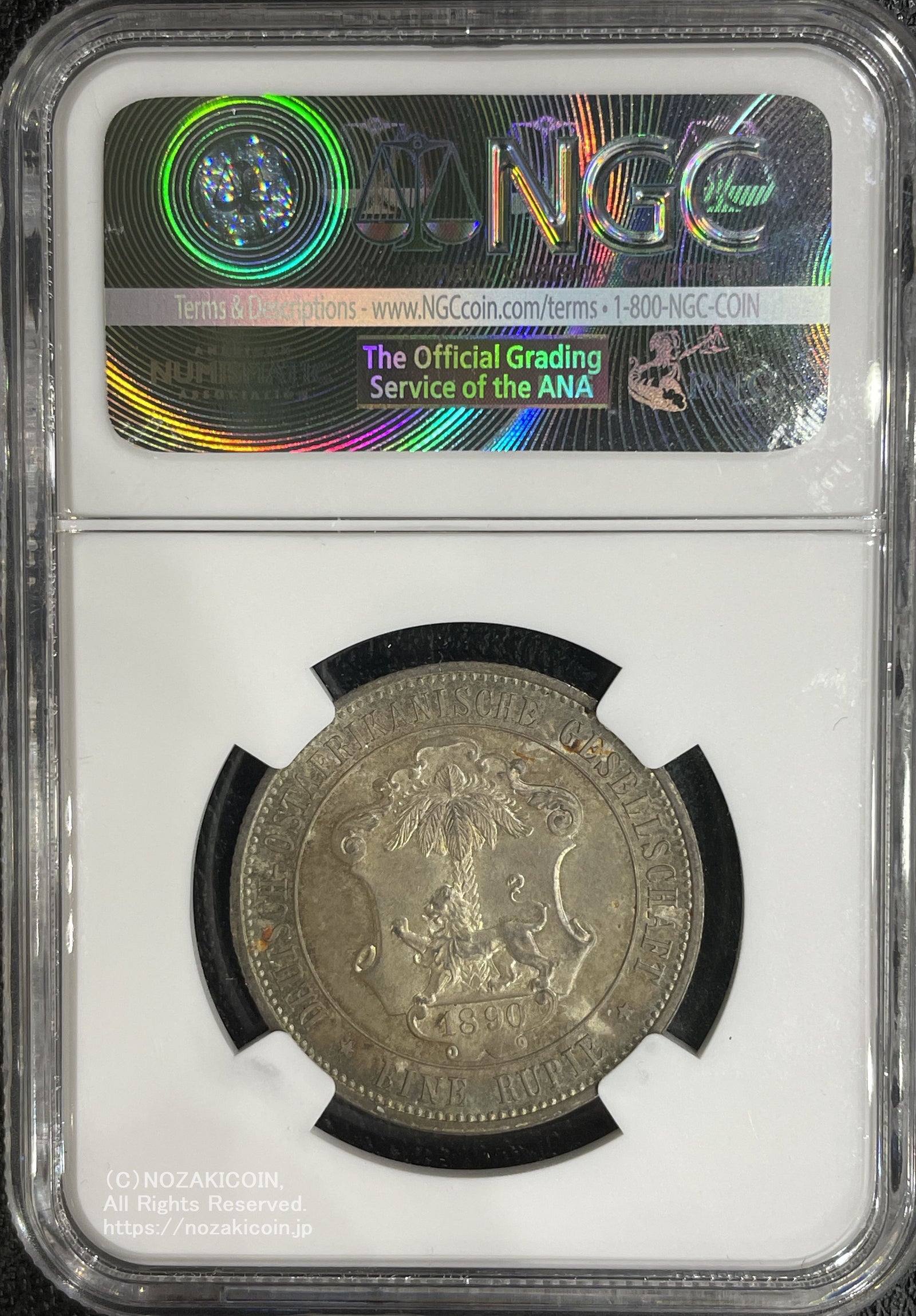 IMG_6198_1600x.jpg?v=1705040710