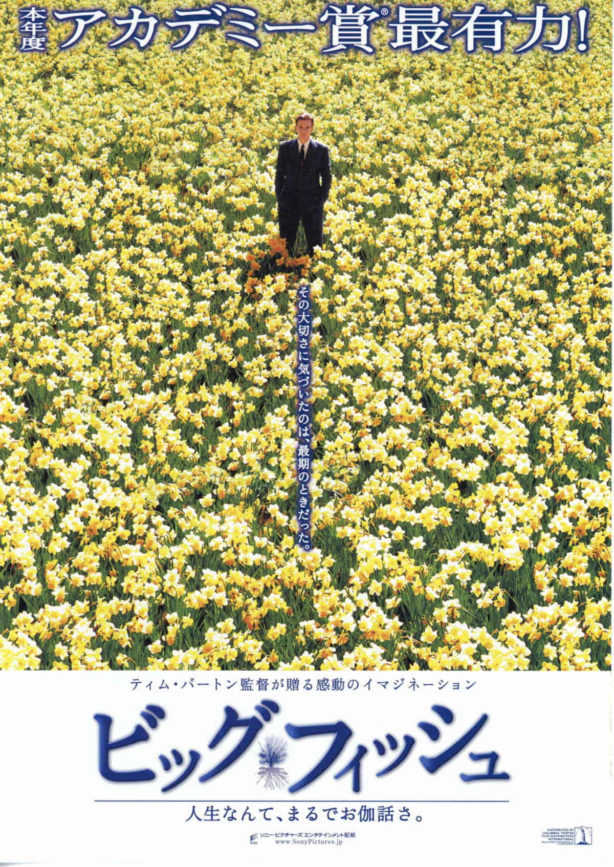 ビッグ・フィッシュ | あらすじ・内容・スタッフ・キャスト・配信