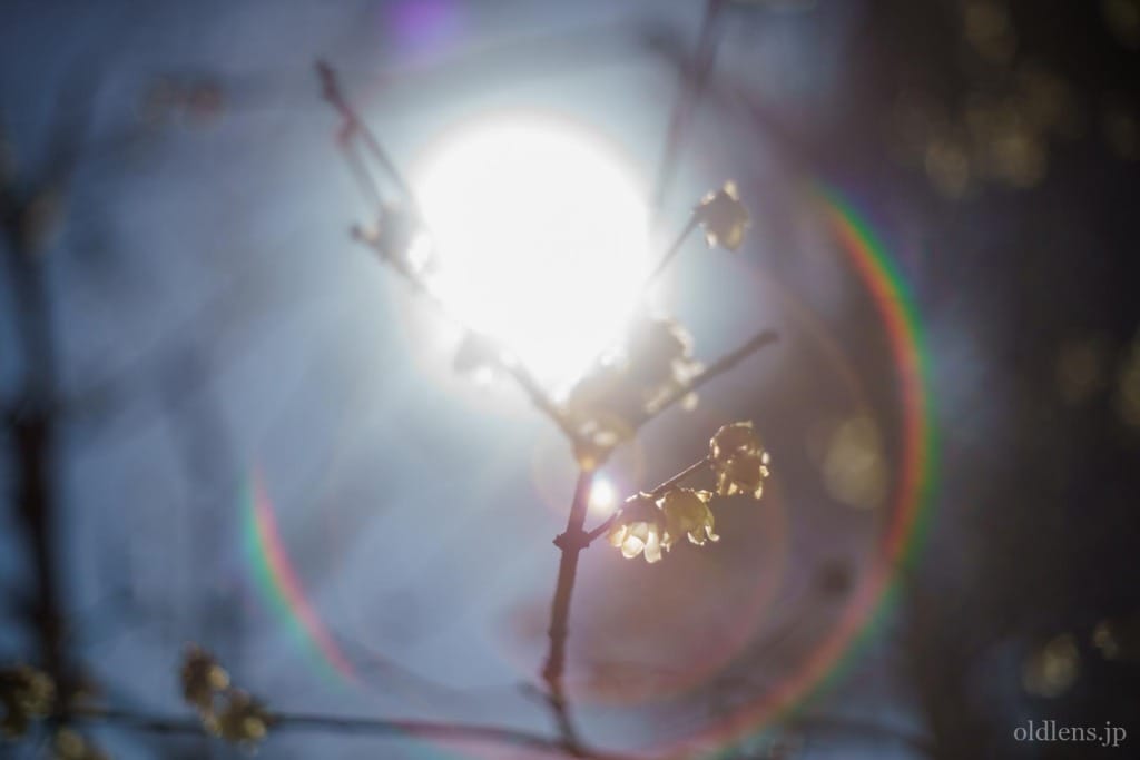 Yashica Auto Yashinon-DX 50mm F1.4 M42 Review作例 富岡光学製