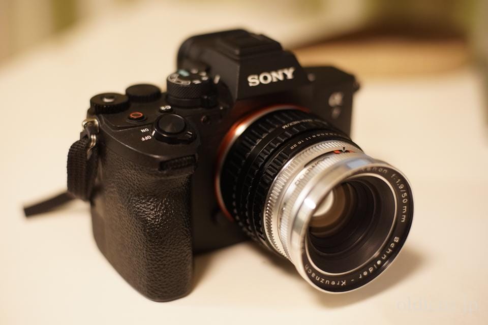 Retina XENON 50mm F1.9 Review作例 Schneiderシュナイダーオールド