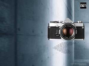 ZUIKO SHIfT 24mm F3.5 | OMマニア