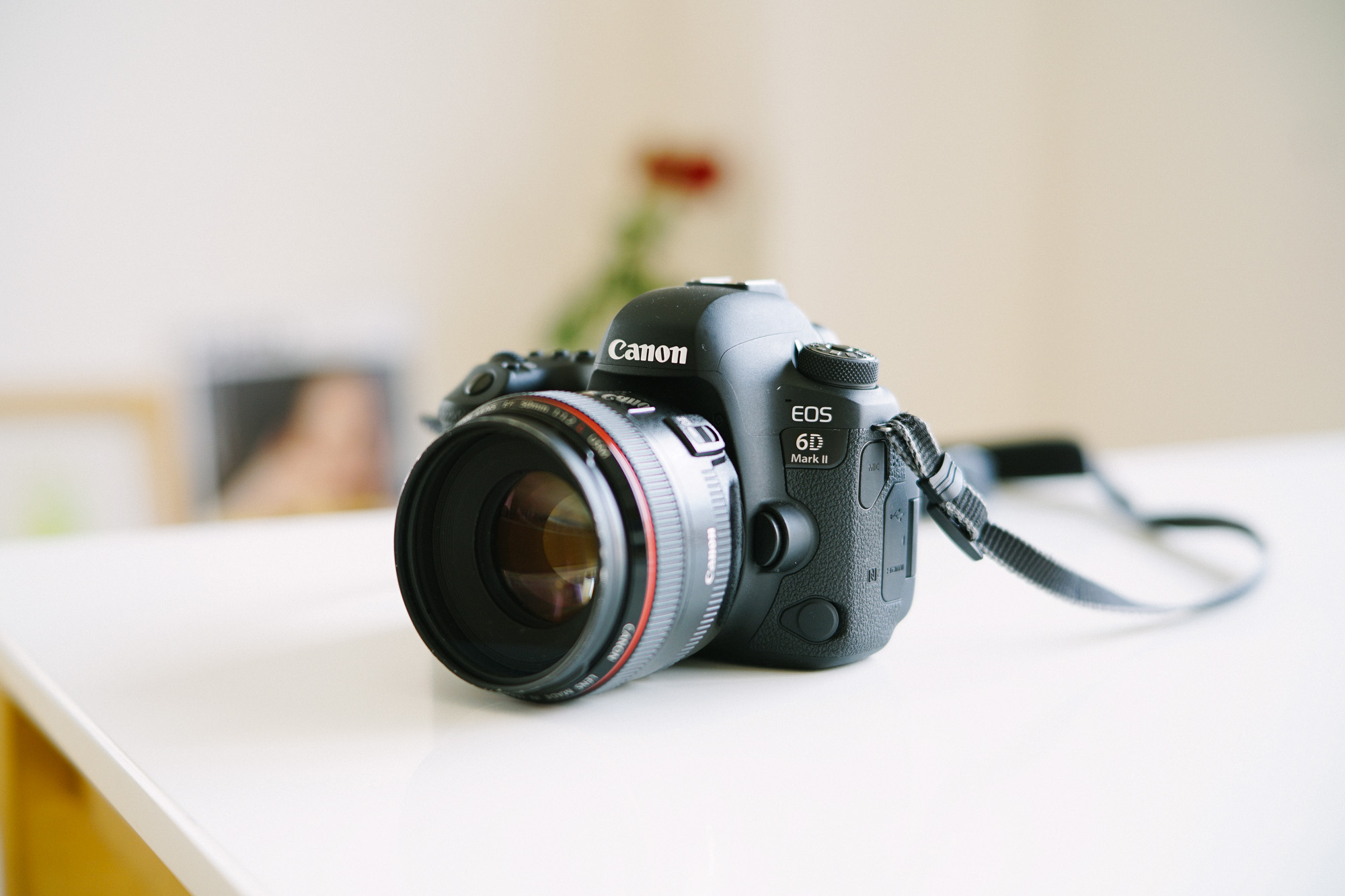 CANON EOS 6D初代から6D mark2に買い替えました！[レビュー/作例