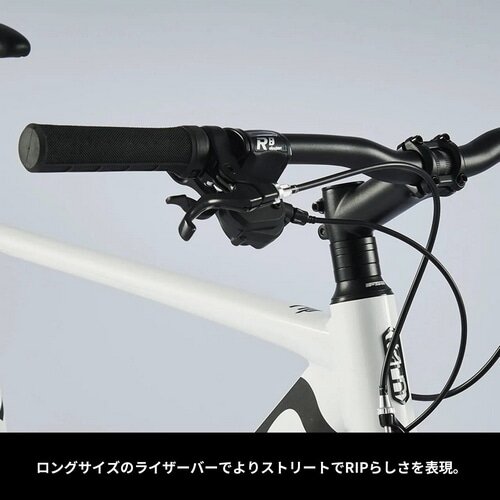 TERN ( ターン ) クロスバイク RIP ( リップ ) ノイジーシルバー 460