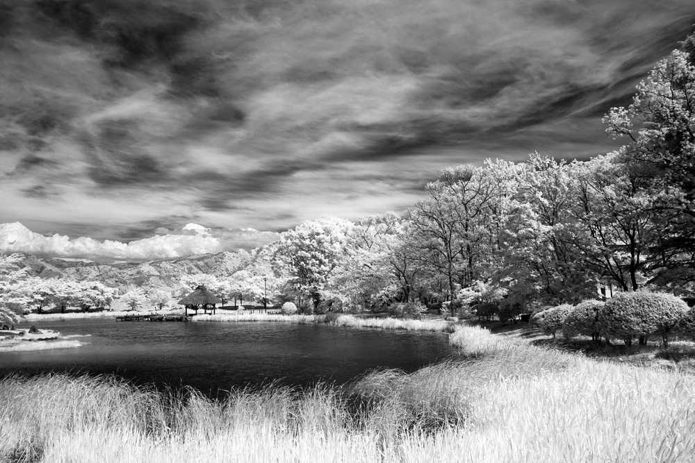 デジタル・カメラ改造] フルスペクトラム(Full Spectrum)カメラの世界