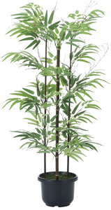 商品検索 ｜ YDMオンラインストア ｜ 横浜ディスプレイミュージアム