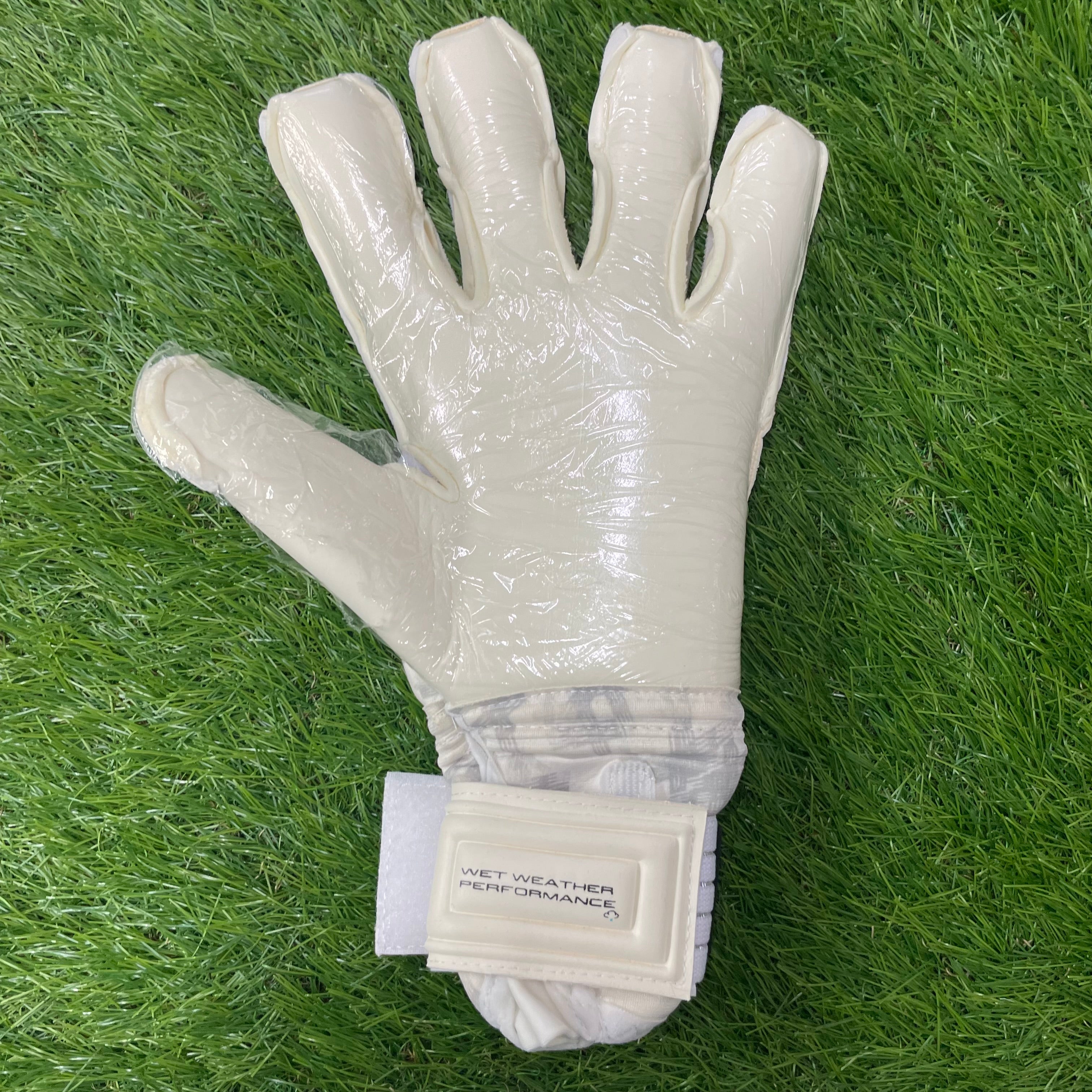 セルス トータルコンタクト アクア プライム Sells Total Contact Aqua