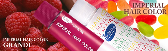 株式会社パイモア｜形状記憶デジタルパーマ-PAIMORE Co.,Ltd. ヘア