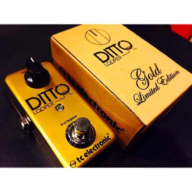 TC Ditto Gold Limited Edition : r/guitarpedals