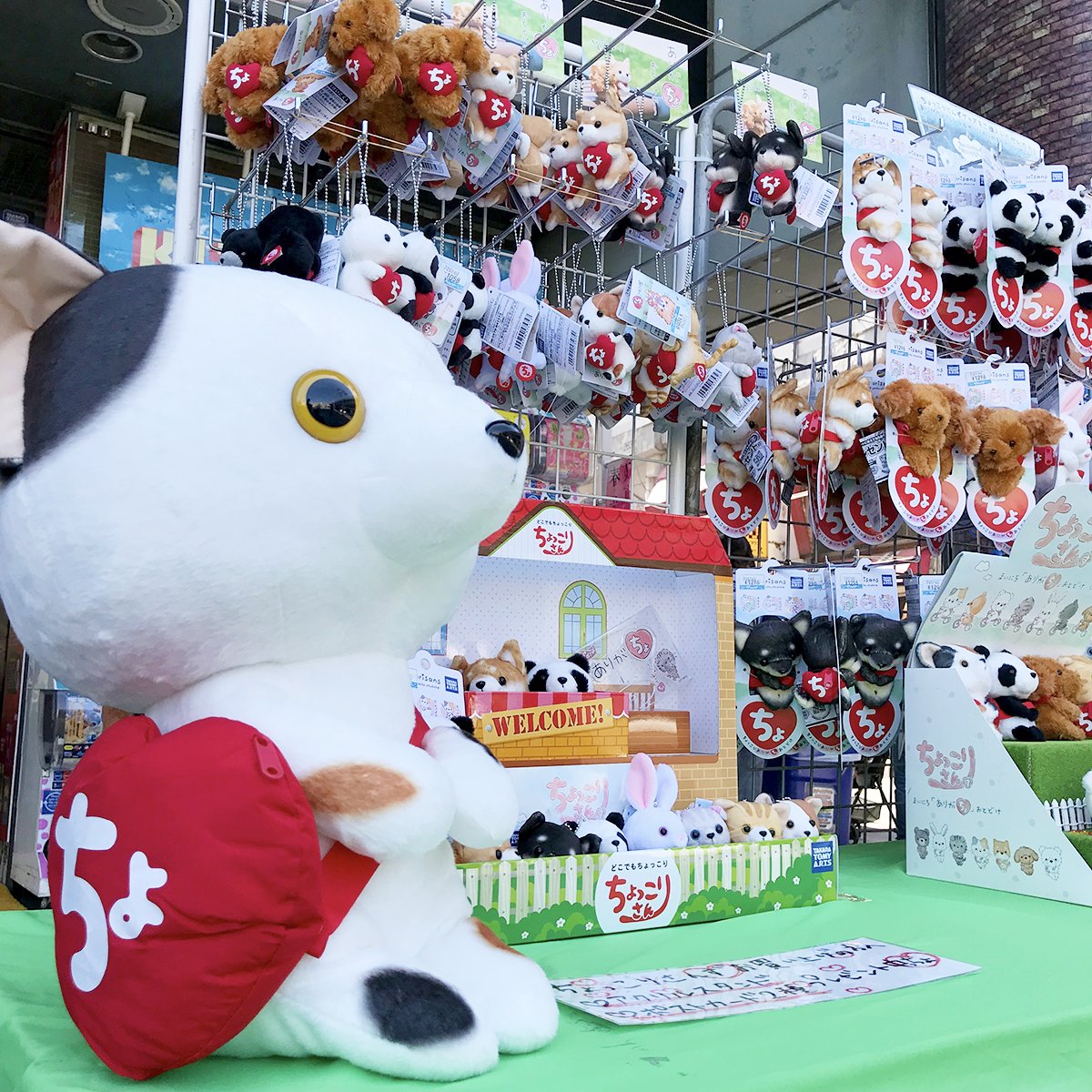 3/2、3/3、1階店頭で実演販売中です🎵 タカラトミーアーツ 「ちょっ