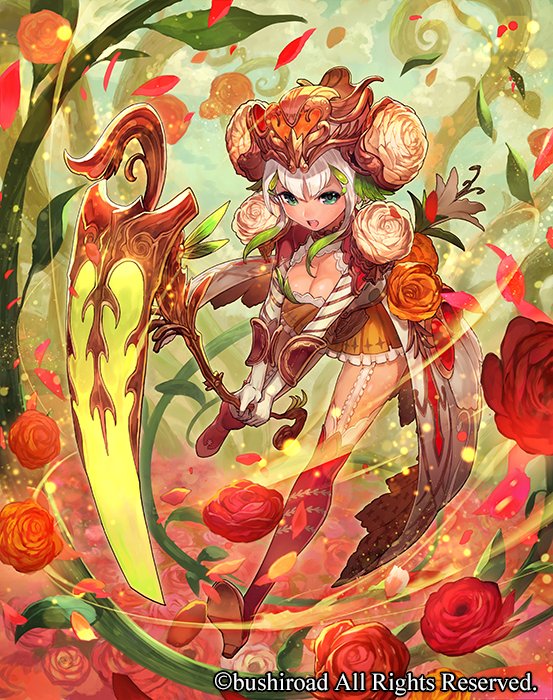 本日発売 カードファイト!! ヴァンガード「The AWAKENING ZOO」にて