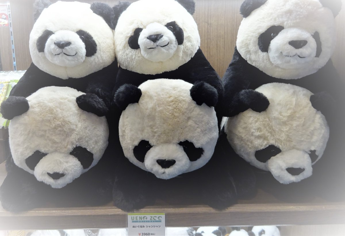 ♪東園リトルトランク♪ 「ぬいぐるみ シャンシャン ,960円（税込