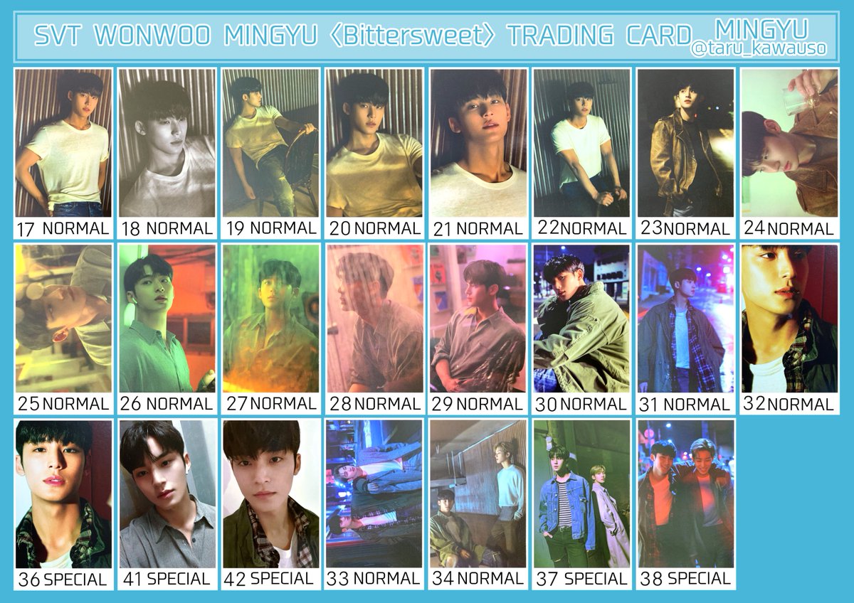 SEVENTEEN セブチ トレカ一覧 Bittersweet ウォヌ ミンギュ ※交換など