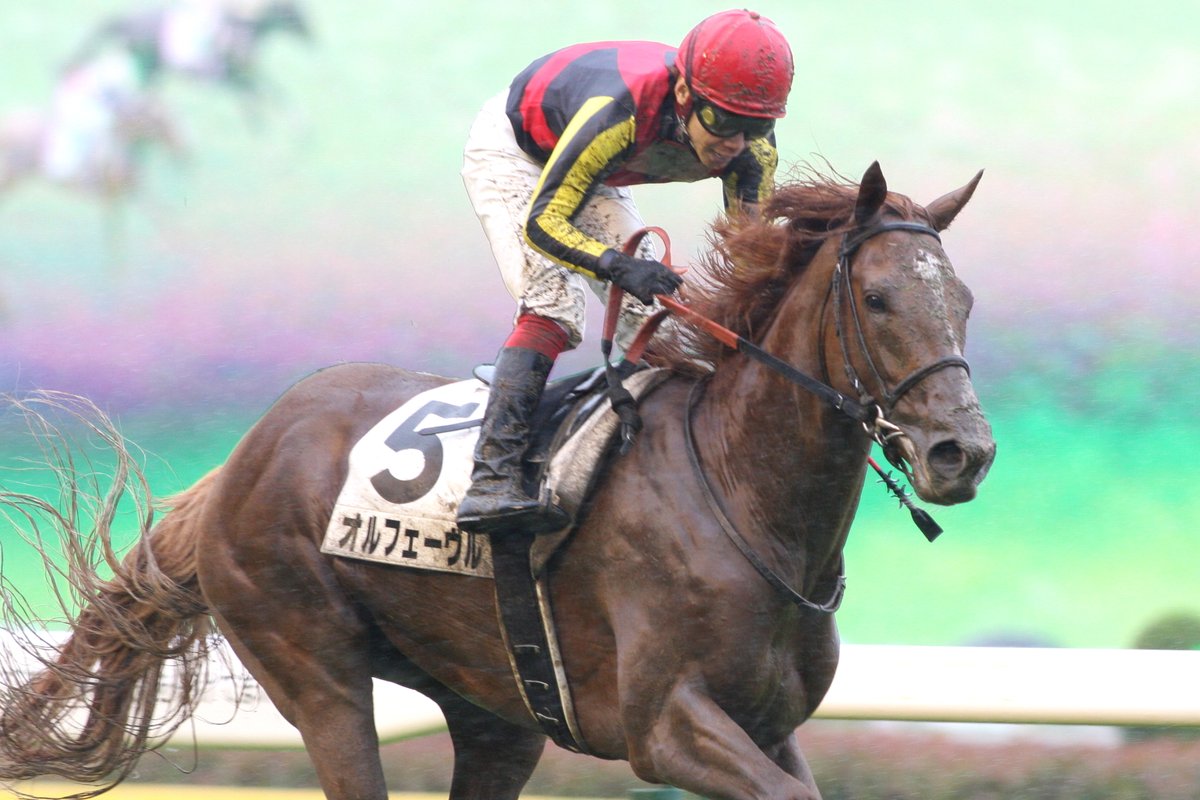 今週末は日本ダービー！ 11年は台風の影響による不良馬場にもかかわら