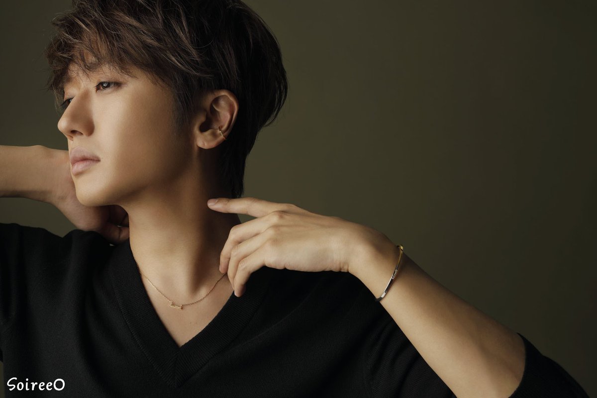 ソワレオー soireeo K10 バングル Nissy 西島隆弘 AAA AAA - Nissy