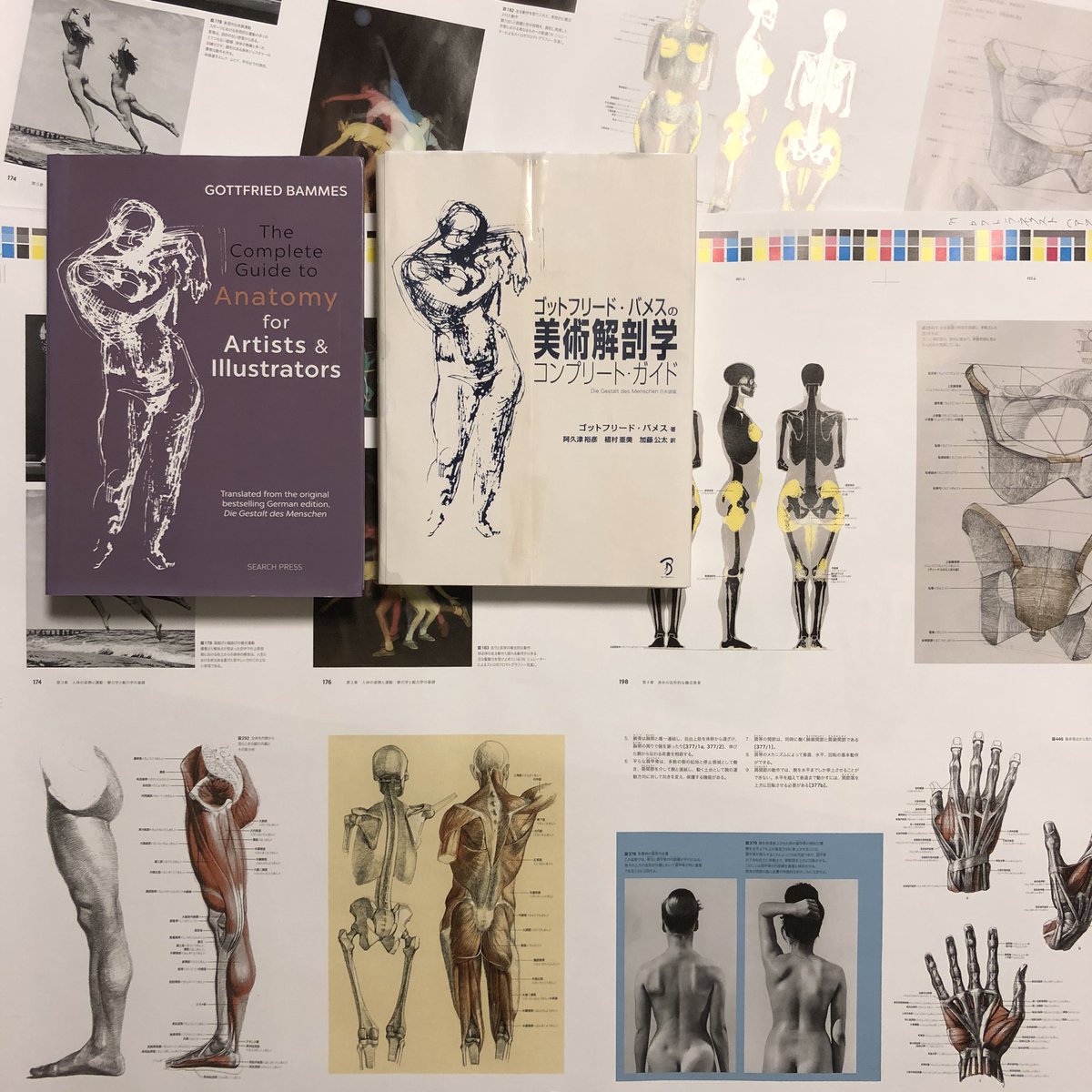 今日は『ゴットフリード・バメスの美術解剖学コンプリート・ガイド