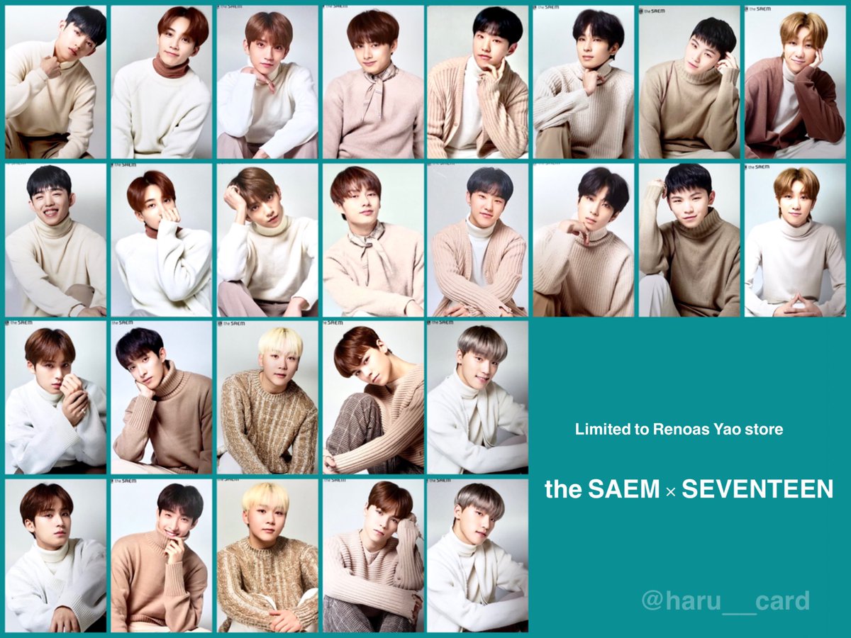 SEVENTEEN セブチ the SAEM ザセム トレカ 세븐틴 트레카 포카 더샘