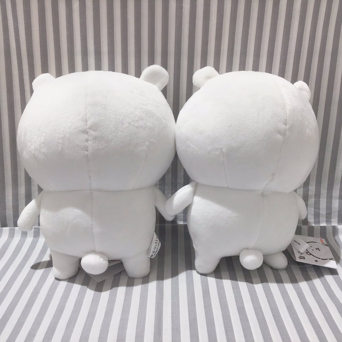 🥺自分ツッコミくま 新作情報🥺 ナガノさん 自分ツッコミくま