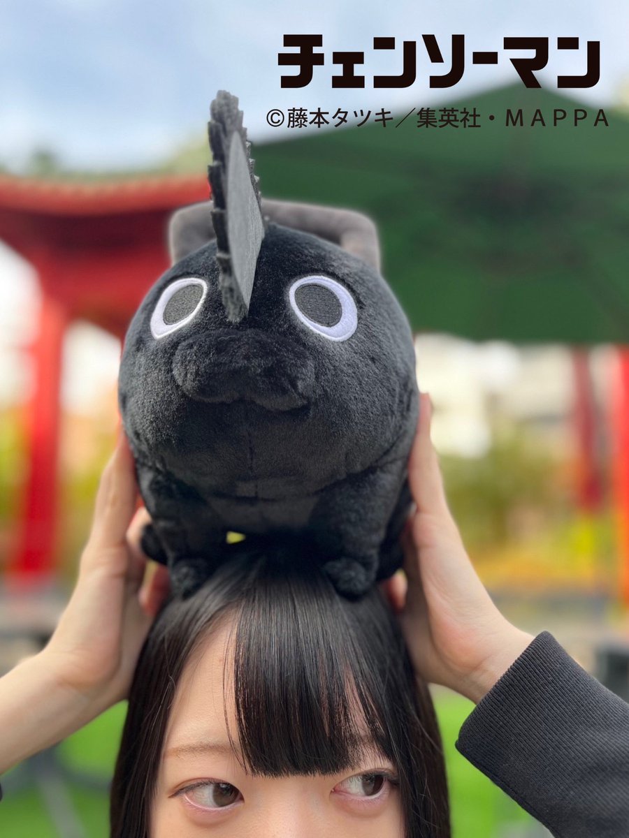 商品情報】 ブラックポチタのぬいぐるみ！ からだはふわふわ生地に