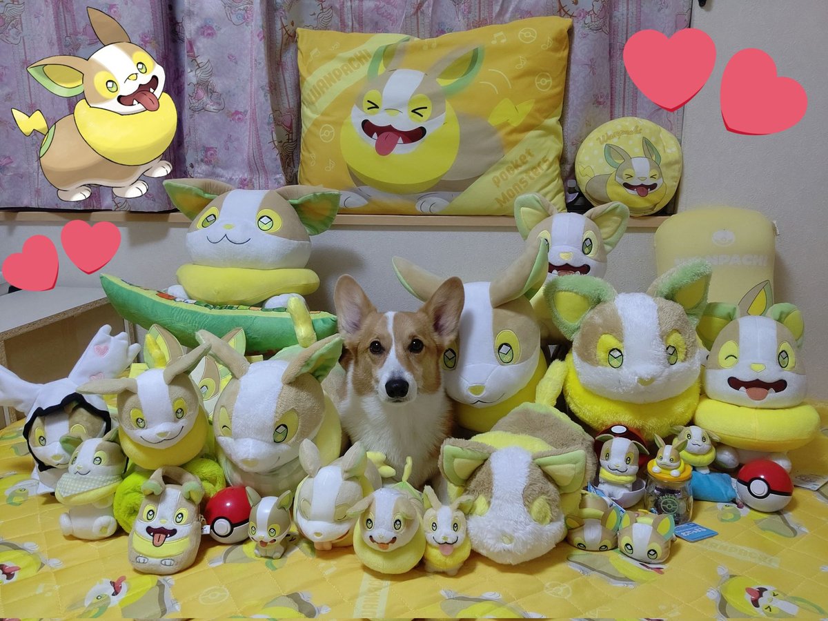 FIkt04-aUAId2q2.jpg?format=jpg